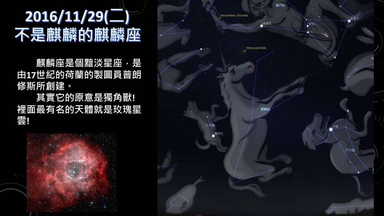 2016/11/29(二)不是麒麟的麒麟座 2016115.JPG