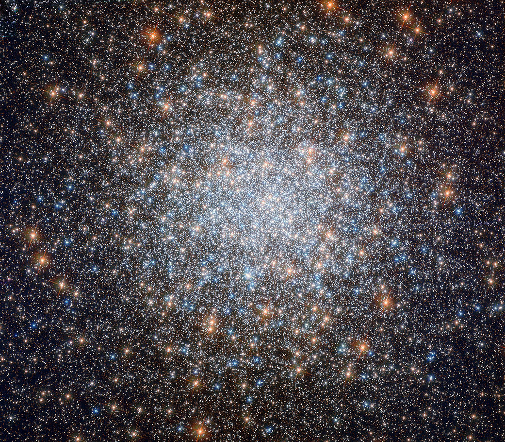 1555229291682773.jpg