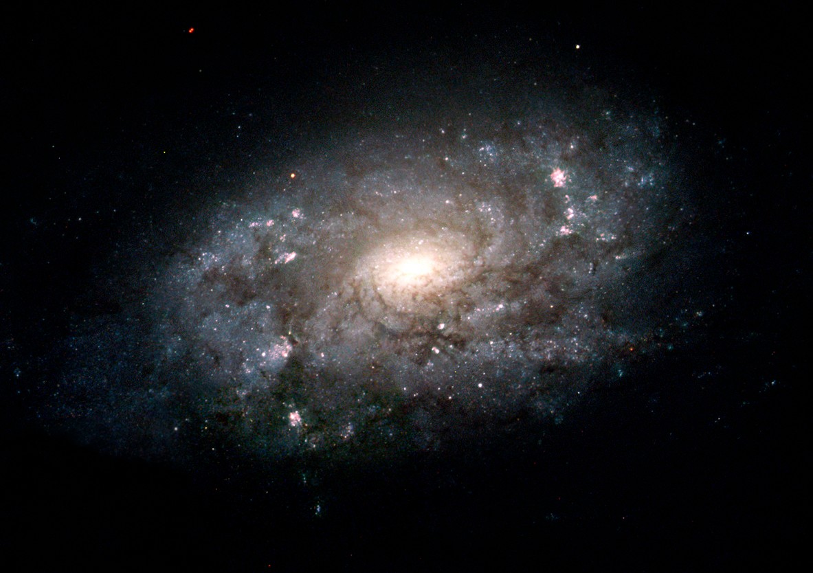 小编的生日星空