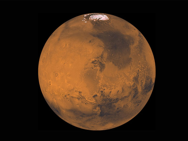 Chandler Wobble of Mars