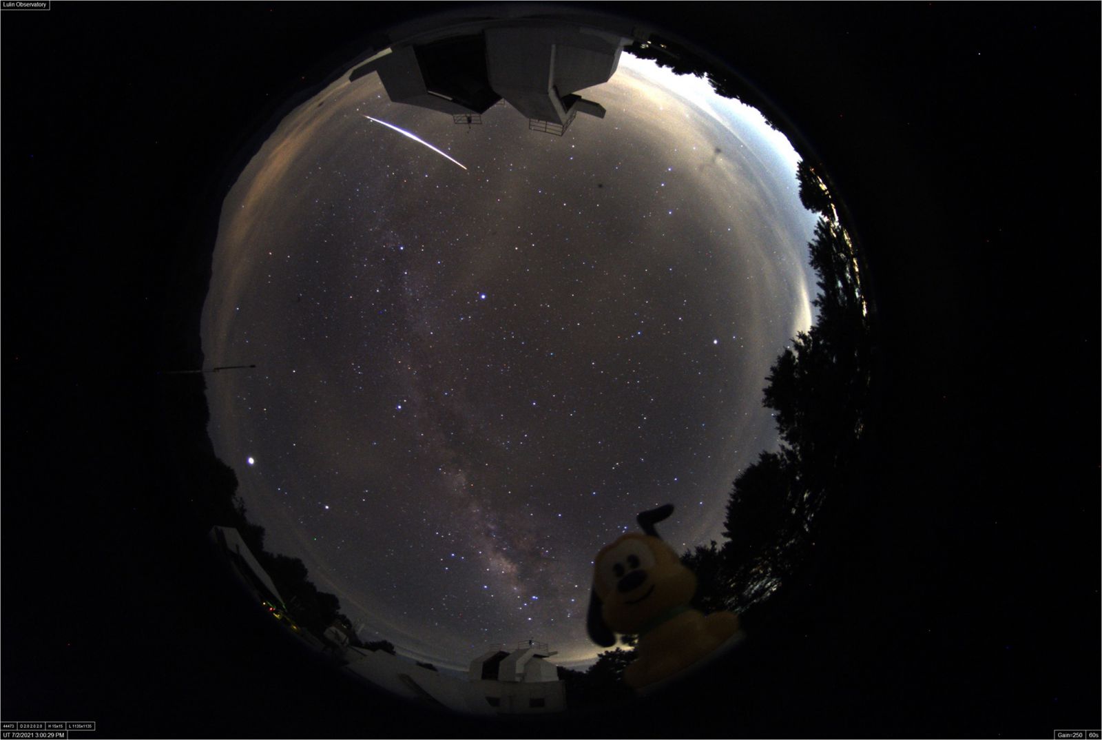 鹿林流星