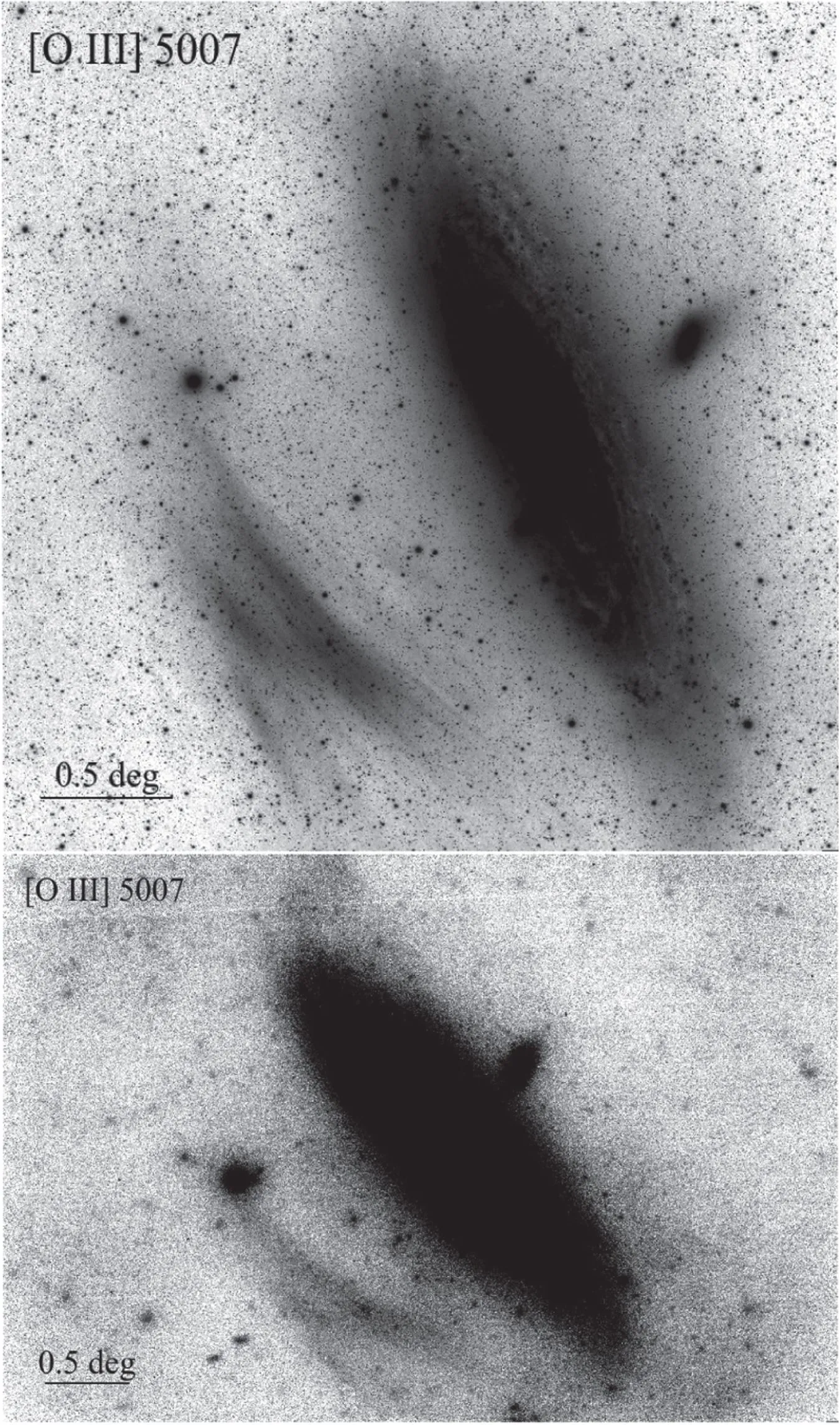 确认发现星云的[O III] 窄频影像。上方为48.6小时、下方为85.5小时的确认影像。