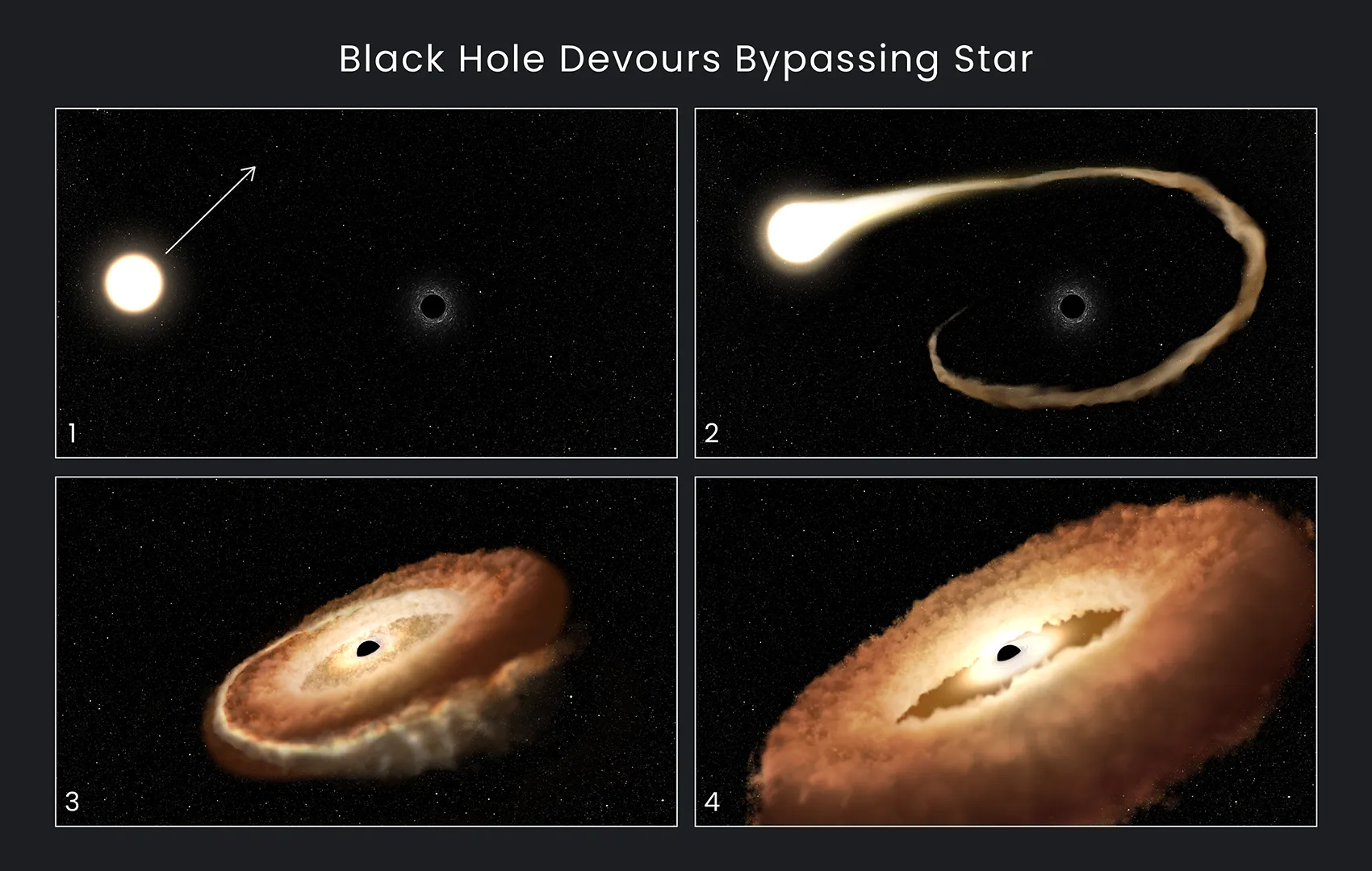 Tidal Disruption Event