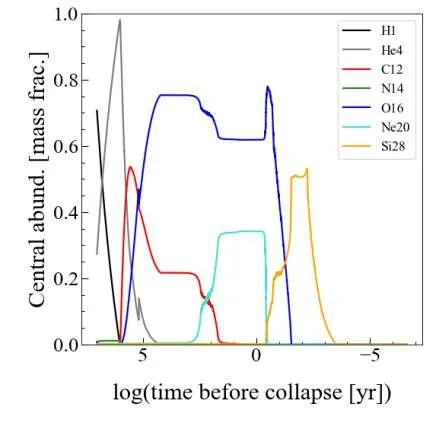 参宿四核心中不同元素丰度随时间的变化。This figure from the study shows the abundance of different elements in Betelgeuse. Elemental abundances are like a fingerprint or snapshot of what’s happening inside the core, what stage of carbon-burning the star’s in, and when it will explode. Fusion products from the core are periodically dredged up from the core to the surface by convection, giving researchers a glimpse into the core. But nailing down when it’ll explode also depends on knowing the star’s initial mass, how quickly it’s rotating, and a host of other factors, all of which are difficult to determine to varying degrees. Credit: Saio et al. 2023