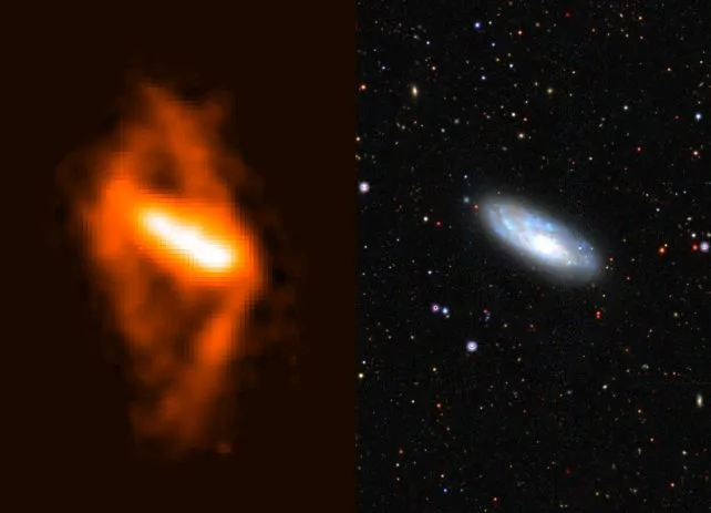 NGC 4632,右图为可见光影像,左图为ASKAP所拍摄的无线电波影像,可以发现多了一个极环。NGC 4632 as seen in the WALLABY survey (left) compared to an optical image from the DESI Legacy Survey (right). (Tobias Westmeier/ICRAR)