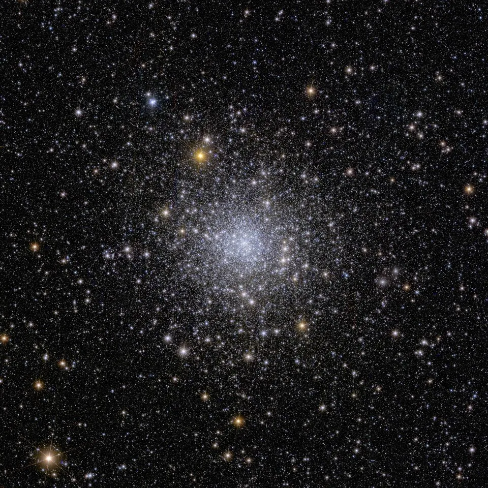 NGC 6397距离地球约7,800光年,是第二近的球状星团。由于球状星团普遍看起来视野较广,目前除了欧几里德望远镜之外,还没有其他太空望远镜能够在单一次的摄影图像中,将整个球状星团纳入,同时以高解析度分辨出星团中如此大量的恒星。而这样的恒星分布图像,可以让我们据此计算出星团中暗物质的分布与位置。This sparkly image shows Euclid’s view on a globular cluster called NGC 6397. This is the second-closest globular cluster to Earth, located about 7800 light-years away. Globular clusters are collections of hundreds of thousands of stars held together by gravity. Currently no other telescope than Euclid can observe an entire globular cluster in one single observation, and at the same time distinguish so many stars in the cluster. These faint stars tell us about the history of the Milky Way and where dark matter is located.