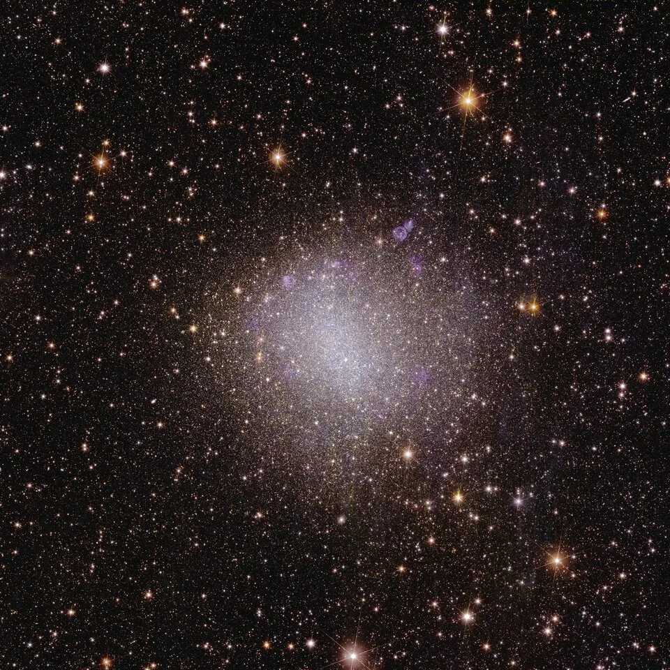在宇宙形成初期,因当时充满宇宙空间的氢原子云气收缩塌陷,直接形成第一批数量众多,遍布宇宙的小型矮星系。之后这些矮星系相互吸引碰撞,才逐渐汇聚成现今体积较大的星系。而这些碰撞中的矮星系,大多因重力相互拉扯呈现出不规则的形态。由于宇宙早期的矮星系十分遥远且较小,太暗以致难以观测。因此距离我们较近的不规则矮星系,就成为研究星系碰撞的首选目标。而欧几里德拍摄的不规则矮星系NGC 6822,距离地球仅约160万光年。To create a 3D map of the Universe, Euclid will observe the light from galaxies out to 10 billion light-years. Most galaxies in the early Universe don’t look like the quintessential neat spiral, but are irregular and small. They are the building blocks for bigger galaxies like our own, and we can still find some of these galaxies relatively close to us. This first irregular dwarf galaxy that Euclid observed is called NGC 6822 and is located close by, just 1.6 million light-years from Earth.