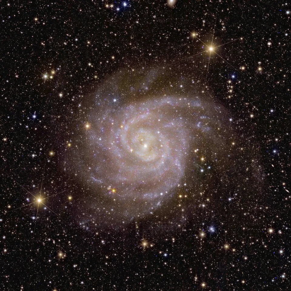称为「隐藏星系」的IC 342,由于此星系位于银河盘面的视线方向上,被银河系中的星际物质遮挡而难以看见。现在借由欧几里德望远镜在近红外线波段的摄影,终于展现出星系的完整形态,发现与我们的银河系十分类似。That’s why it’s fitting that one of the first galaxies that Euclid observed is nicknamed the ‘Hidden Galaxy’. This galaxy, also known as IC 342 or Caldwell 5, is difficult to observe because it lies behind the busy disc of our Milky Way, and so dust, gas and stars obscure our view.